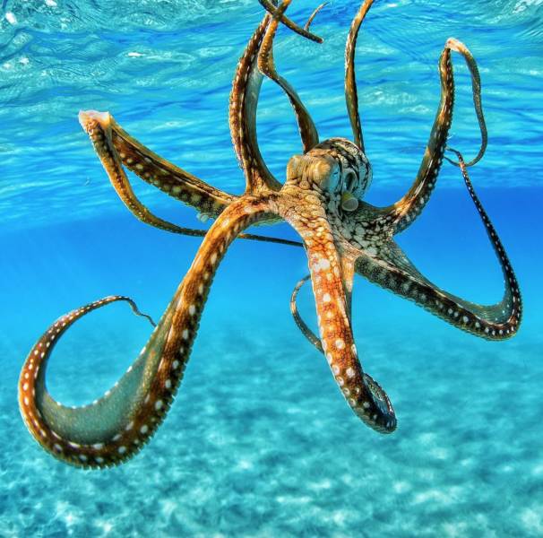 daily picdump 97 pics 3.html - 97 HD Photos | Premium Gallery 2018