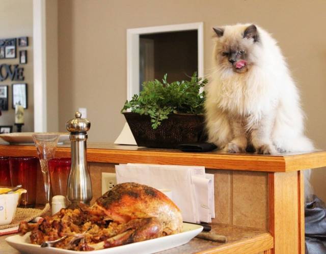 daily picdump 97 pics 3.html - 97 HD Photos | Premium Gallery 2018