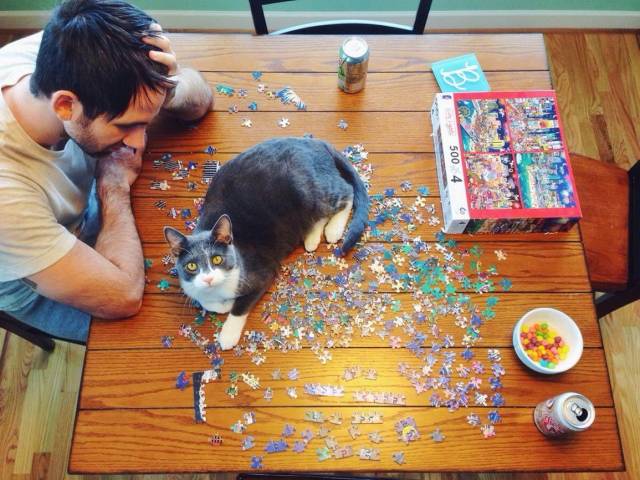 daily picdump 97 pics 3.html - 97 HD Photos | Premium Gallery 2018