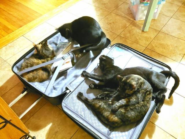 daily picdump 97 pics 3.html - 97 HD Photos | Premium Gallery 2018