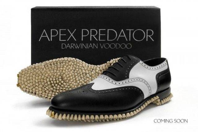 daily picdump 97 pics 3.html - 97 HD Photos | Premium Gallery 2018