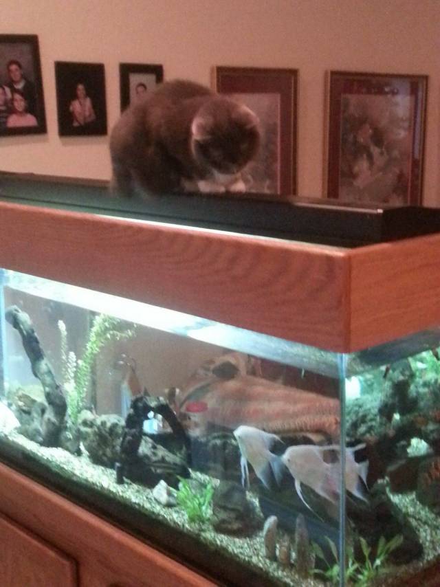 daily picdump 97 pics 3.html - 97 HD Photos | Premium Gallery 2018