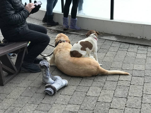 morning picdump 52 pics 2.html - 52 HD Photos | Premium Gallery 2018