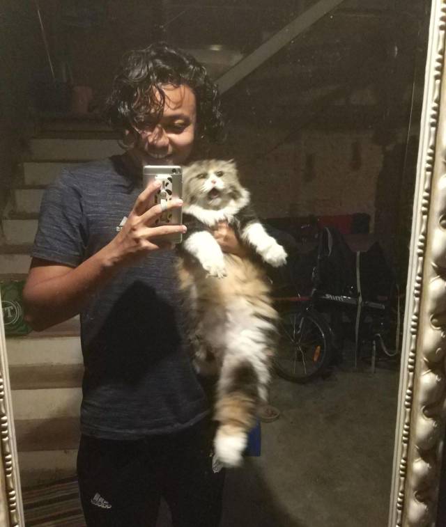 daily picdump 98 pics 31.html - 98 HD Photos | Premium Gallery 2018