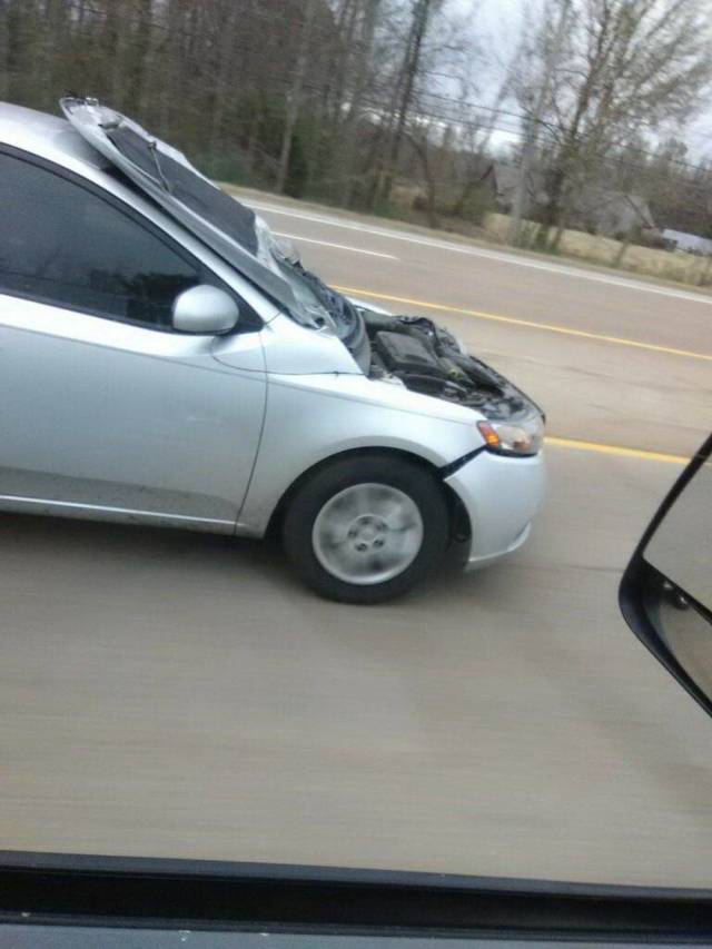 daily picdump 98 pics 31.html - 98 HD Photos | Premium Gallery 2018