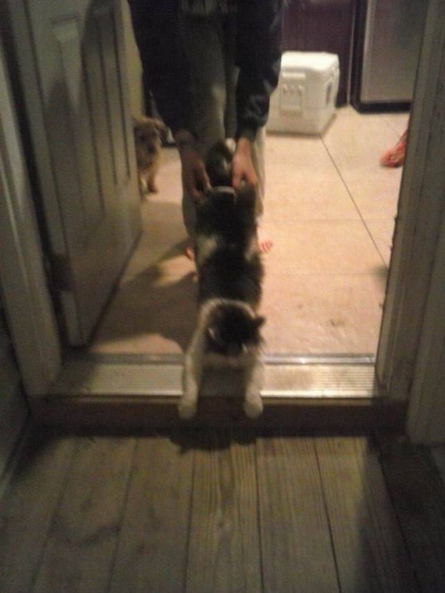 daily picdump 98 pics 31.html - 98 HD Photos | Premium Gallery 2018