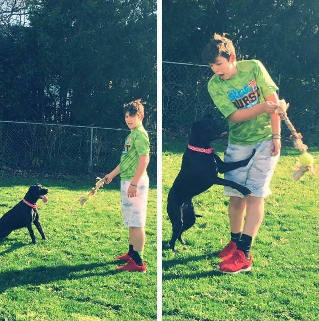 daily picdump 98 pics 31.html - 98 HD Photos | Premium Gallery 2018