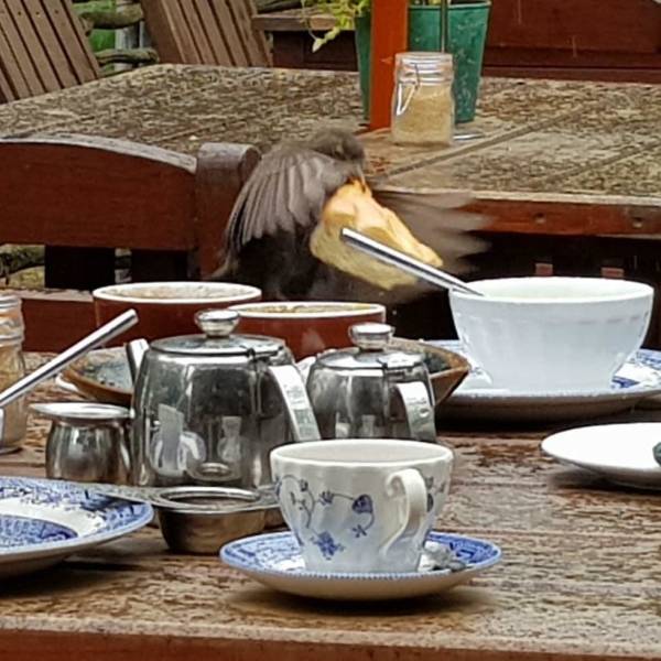 morning picdump 50 pics 5.html - 50 HD Photos | Premium Gallery 2018