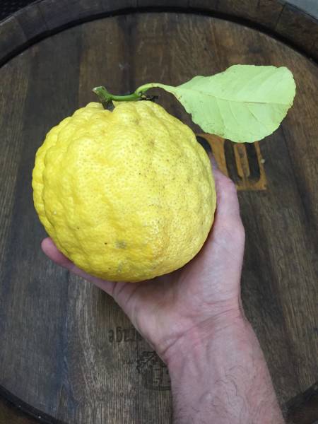 daily picdump weekend edition 52 pics 4.html - 52 HD Photos | Premium Gallery 2018