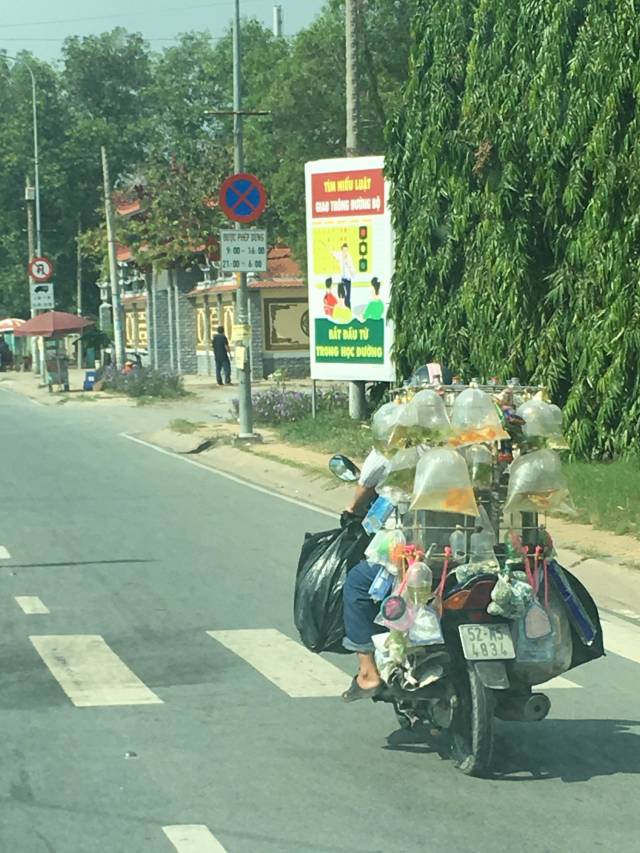 daily picdump weekend edition 52 pics 4.html - 52 HD Photos | Premium Gallery 2018