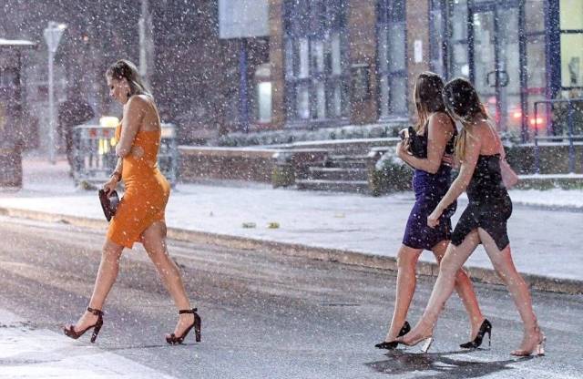 daily picdump 98 pics 20.html - 98 HD Photos | Premium Gallery 2018