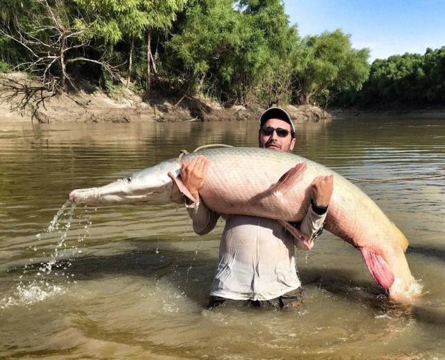 daily picdump 98 pics 20.html - 98 HD Photos | Premium Gallery 2018