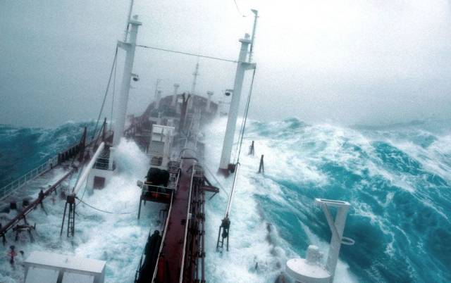 daily picdump 98 pics 20.html - 98 HD Photos | Premium Gallery 2018