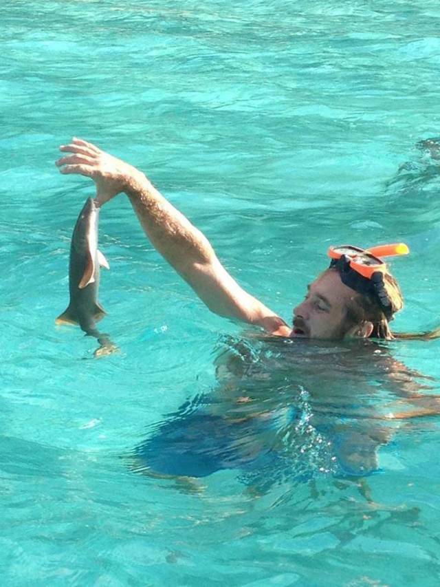 daily picdump 98 pics 20.html - 98 HD Photos | Premium Gallery 2018