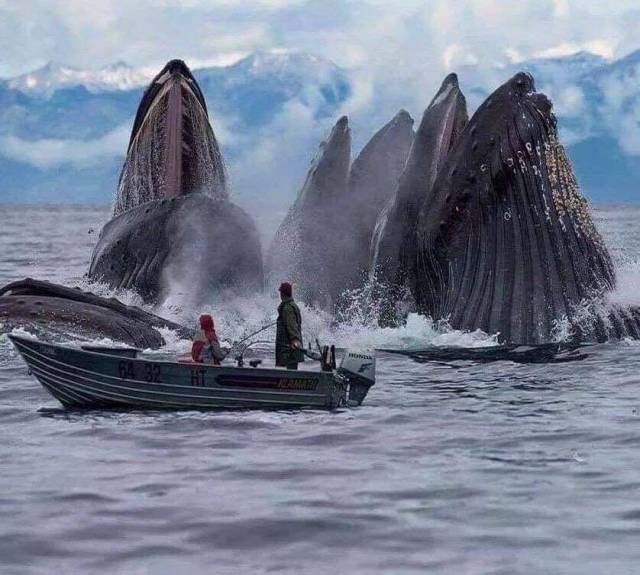 daily picdump 98 pics 34.html - 98 HD Photos | Premium Gallery 2018