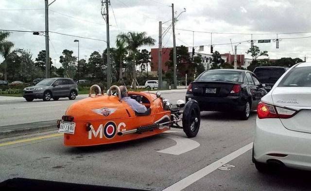 daily picdump 98 pics 34.html - 98 HD Photos | Premium Gallery 2018