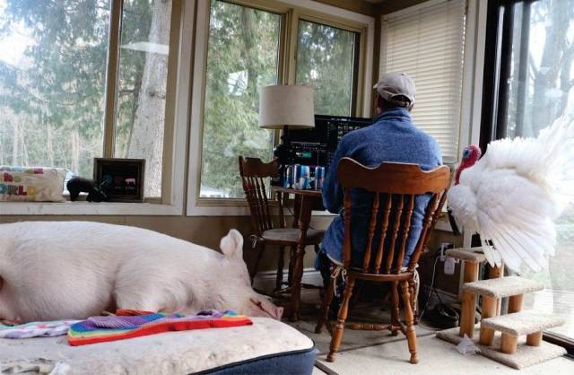 daily picdump 98 pics 34.html - 98 HD Photos | Premium Gallery 2018