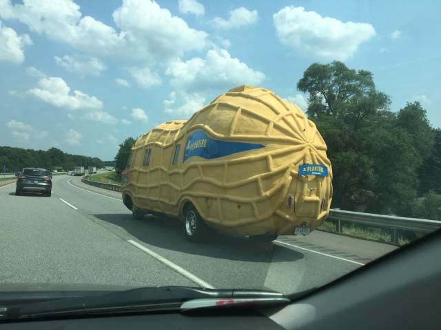 daily picdump 98 pics 34.html - 98 HD Photos | Premium Gallery 2018