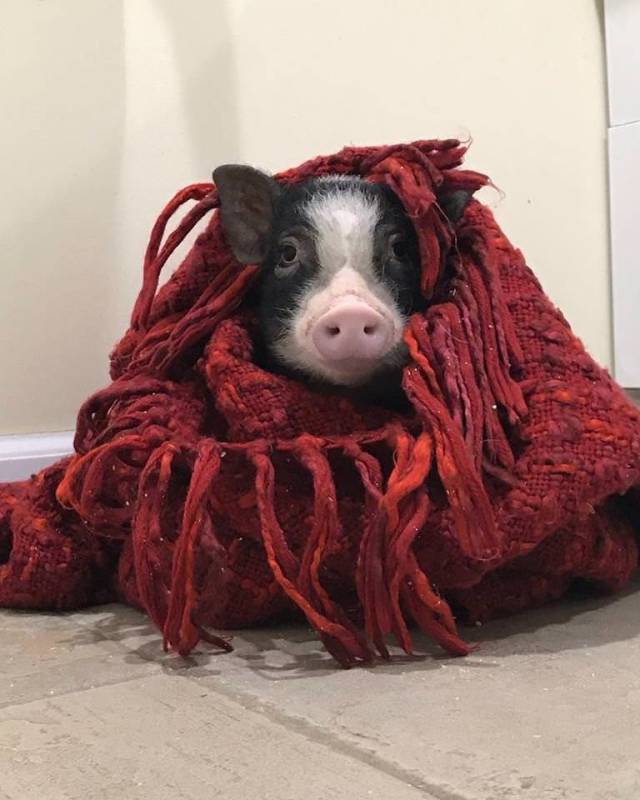 daily picdump 98 pics 34.html - 98 HD Photos | Premium Gallery 2018