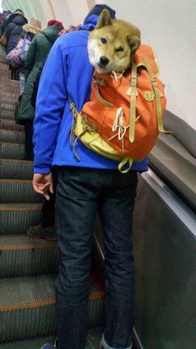 daily picdump 98 pics 34.html - 98 HD Photos | Premium Gallery 2018