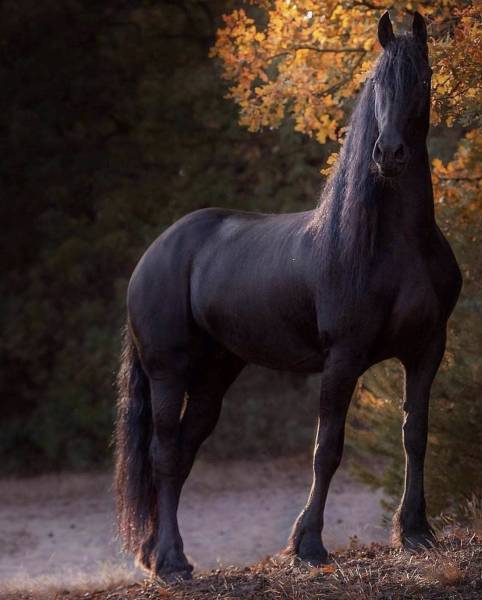 morning picdump 51 pics 9.html - 51 HD Photos | Premium Gallery 2018