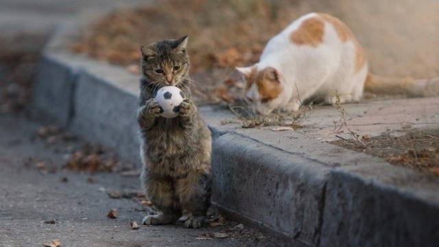 daily picdump 101 pics 38.html - 101 HD Photos | Premium Gallery 2018