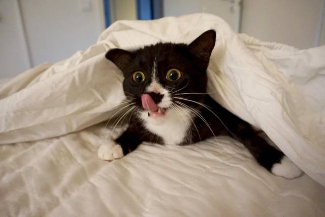 daily picdump 101 pics 38.html - 101 HD Photos | Premium Gallery 2018