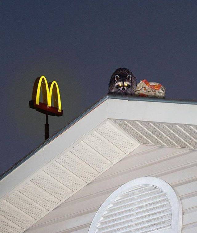 daily picdump 101 pics 38.html - 101 HD Photos | Premium Gallery 2018