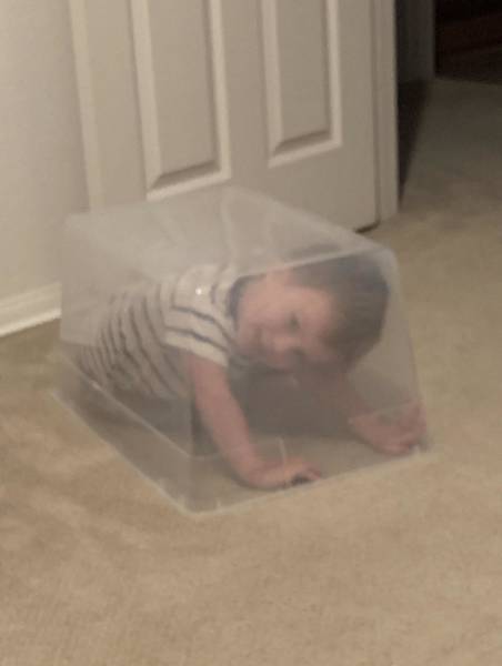 funny picdump 51 pics 14.html - 51 HD Photos | Premium Gallery 2018