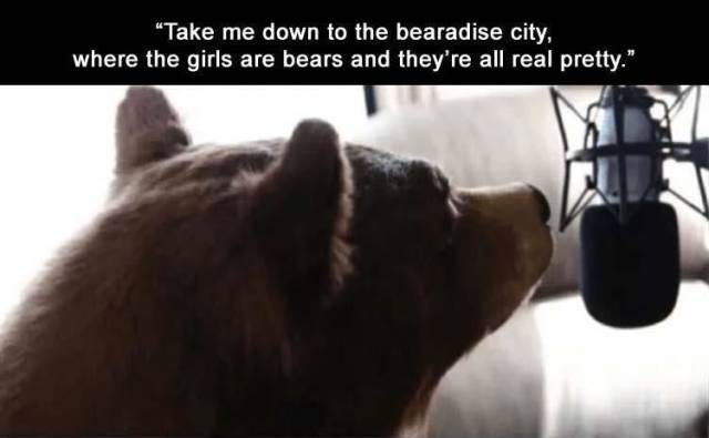 funny picdump 51 pics 14.html - 51 HD Photos | Premium Gallery 2018