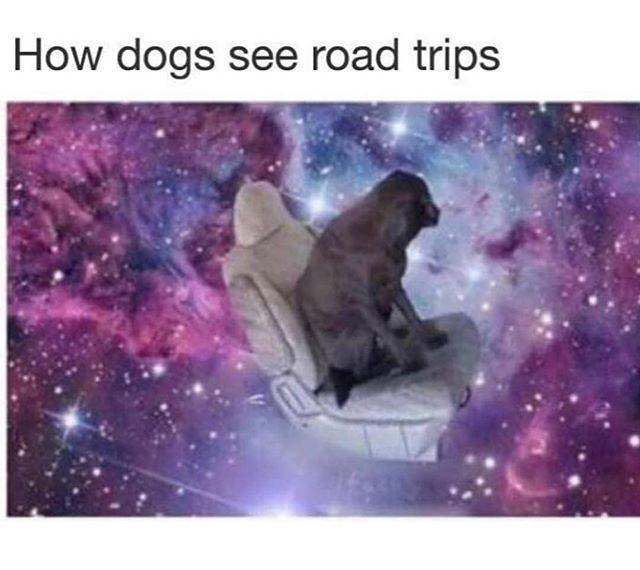 funny picdump 53 pics 14.html - 53 HD Photos | Premium Gallery 2018