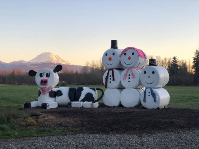 morning picdump 51 pics 18.html - 51 HD Photos | Premium Gallery 2018