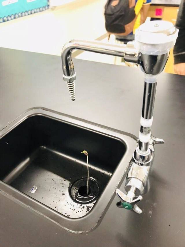 morning picdump 51 pics 18.html - 51 HD Photos | Premium Gallery 2018