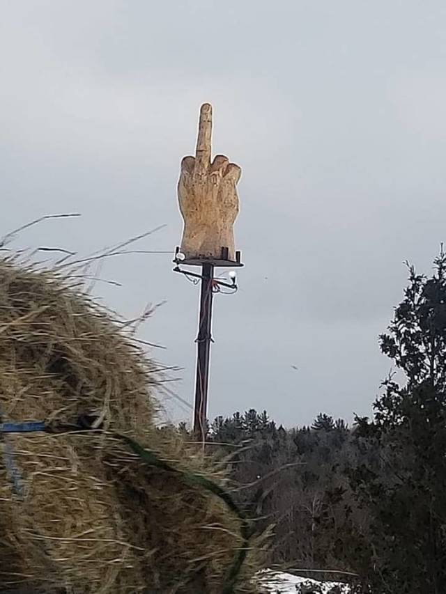 morning picdump 51 pics 18.html - 51 HD Photos | Premium Gallery 2018