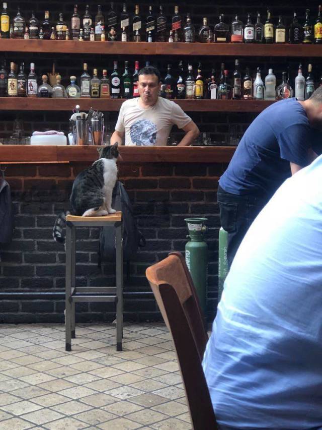 morning picdump 51 pics 18.html - 51 HD Photos | Premium Gallery 2018