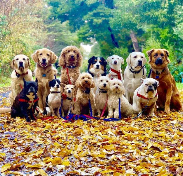 daily picdump 95 pics 42.html - 95 HD Photos | Premium Gallery 2018