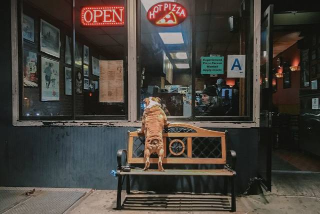 daily picdump 95 pics 42.html - 95 HD Photos | Premium Gallery 2018