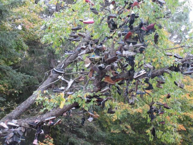 daily picdump 95 pics 42.html - 95 HD Photos | Premium Gallery 2018