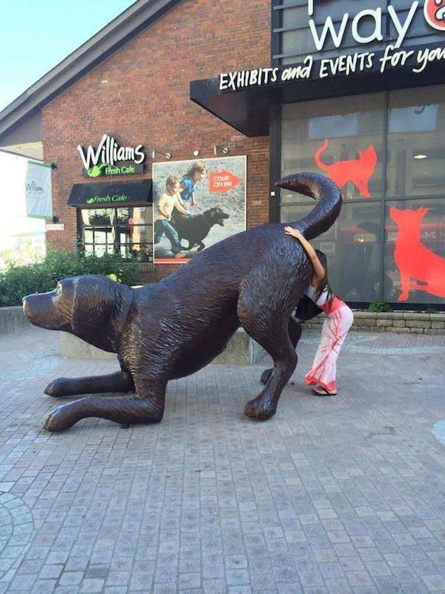 daily picdump 95 pics 42.html - 95 HD Photos | Premium Gallery 2018