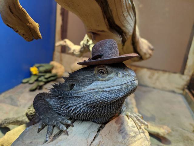 morning picdump 50 pics 41.html - 50 HD Photos | Premium Gallery 2018