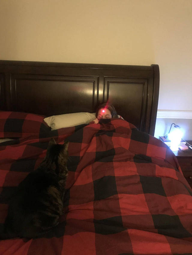 morning picdump 50 pics 41.html - 50 HD Photos | Premium Gallery 2018