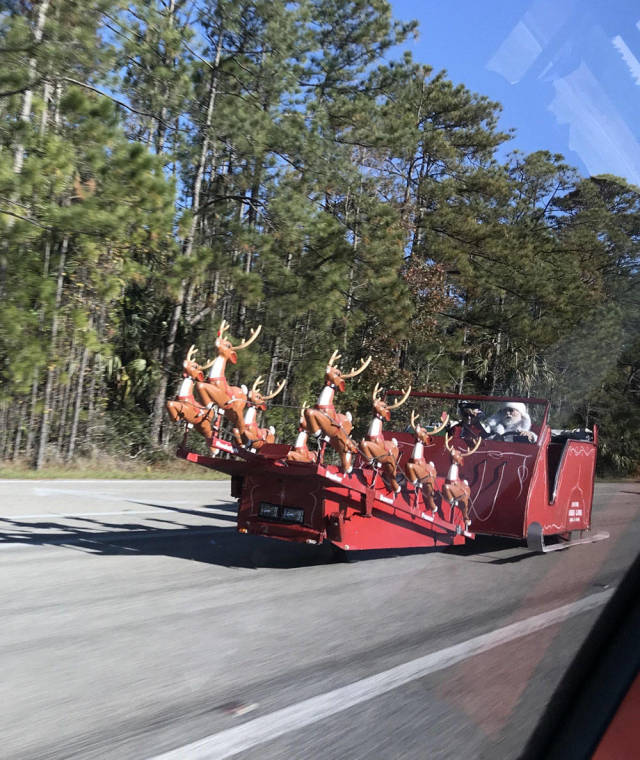 morning picdump 50 pics 41.html - 50 HD Photos | Premium Gallery 2018