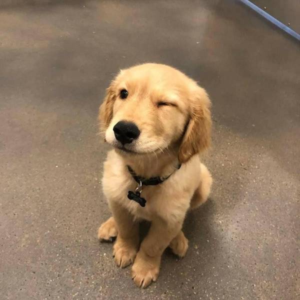 Daily Picdump [WEEKEND EDITION]