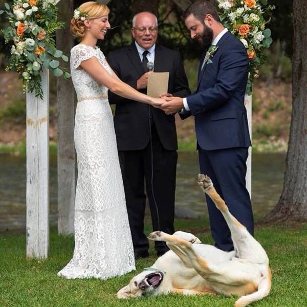 daily picdump weekend edition 72 pics 25.html - 72 HD Photos | Premium Gallery 2018