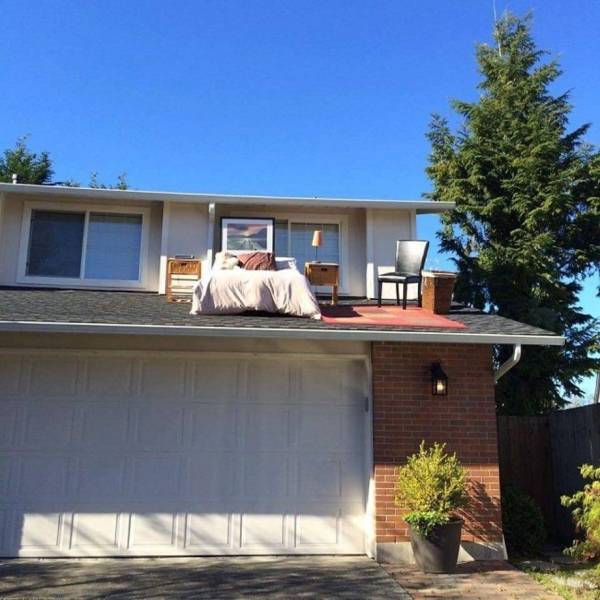 daily picdump weekend edition 72 pics 25.html - 72 HD Photos | Premium Gallery 2018