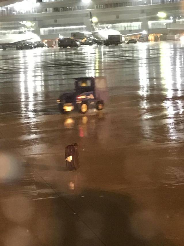 Daily Picdump [WEEKEND EDITION]