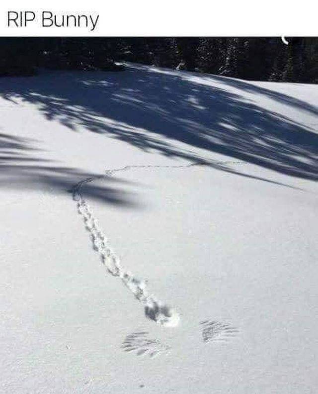 daily picdump weekend edition 72 pics 25.html - 72 HD Photos | Premium Gallery 2018