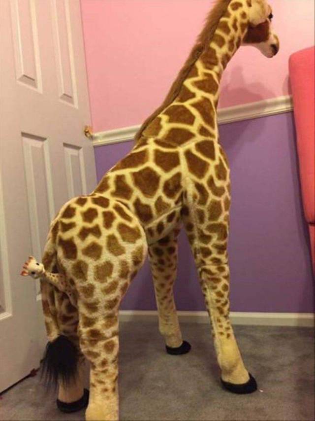 daily picdump weekend edition 72 pics 25.html - 72 HD Photos | Premium Gallery 2018