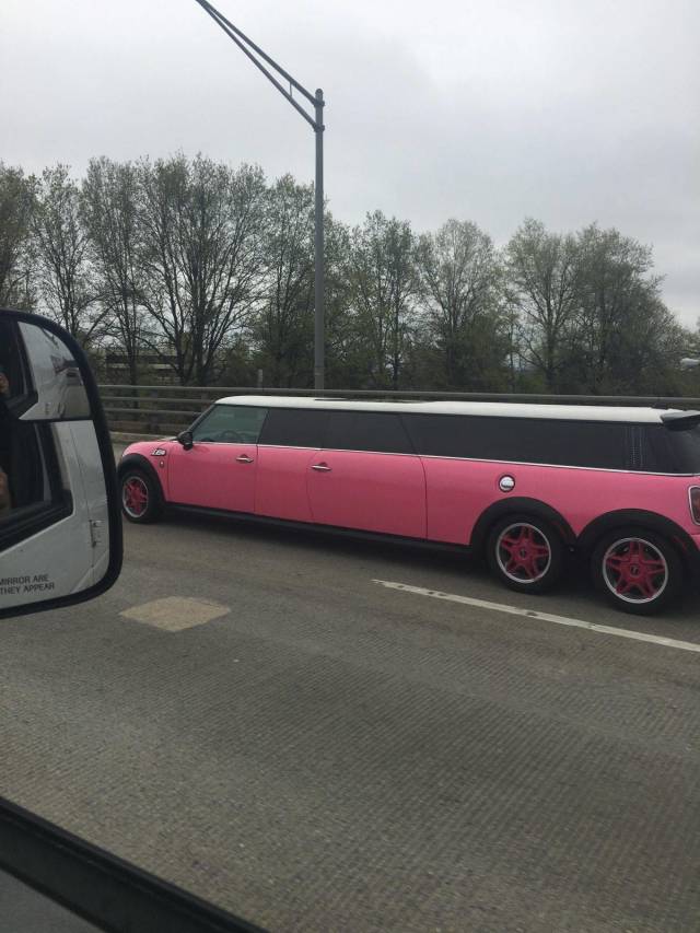 daily picdump weekend edition 72 pics 25.html - 72 HD Photos | Premium Gallery 2018