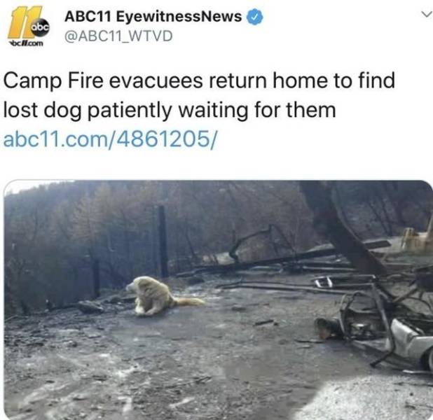 daily picdump 99 pics 44.html - 99 HD Photos | Premium Gallery 2018